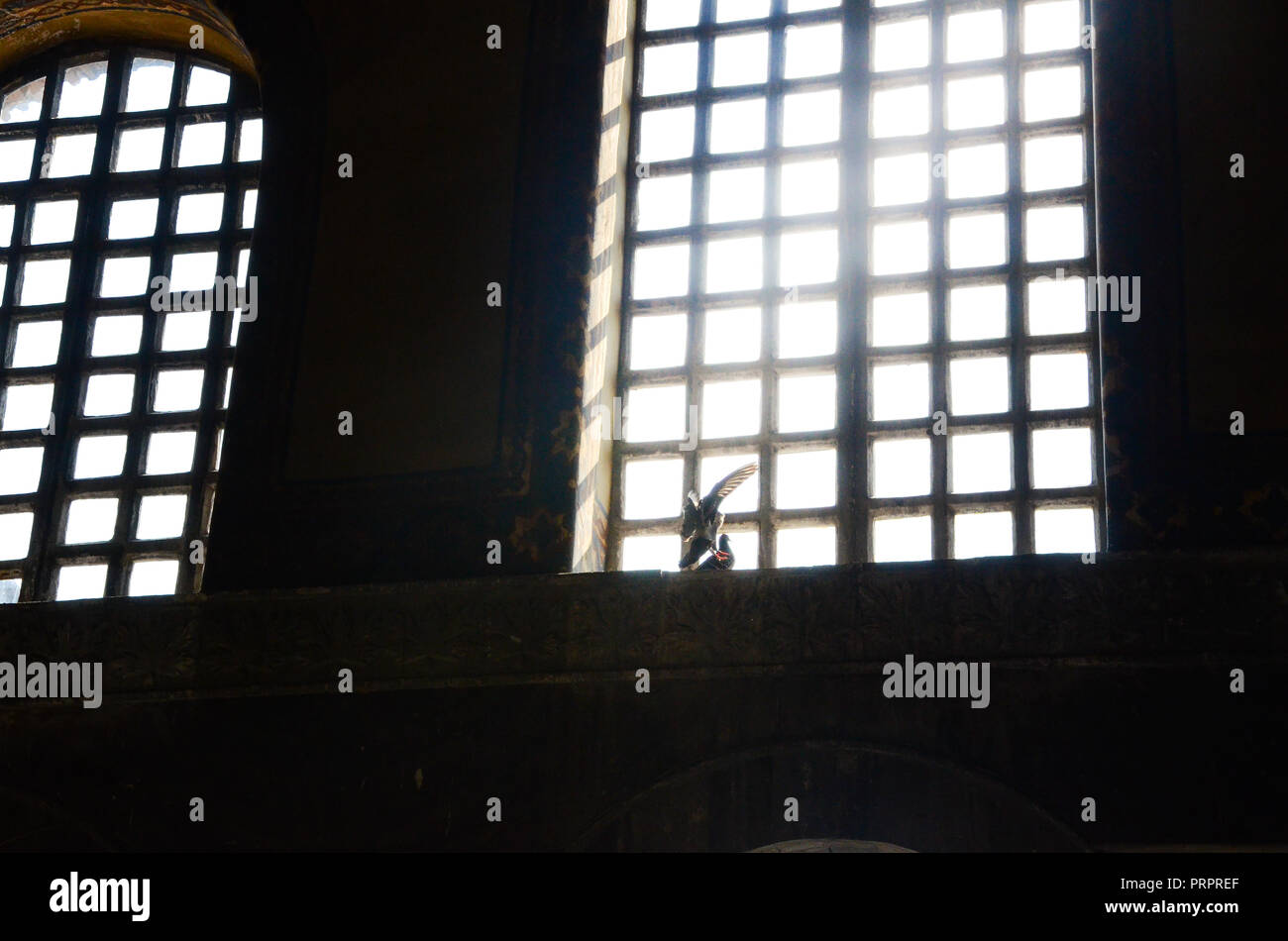 Amazing scenery of a dove looking towards the sunlight trough the window of the Hagia Sophia (Ayasofya), the former Greek Orthodox Christian patriarch Stock Photo