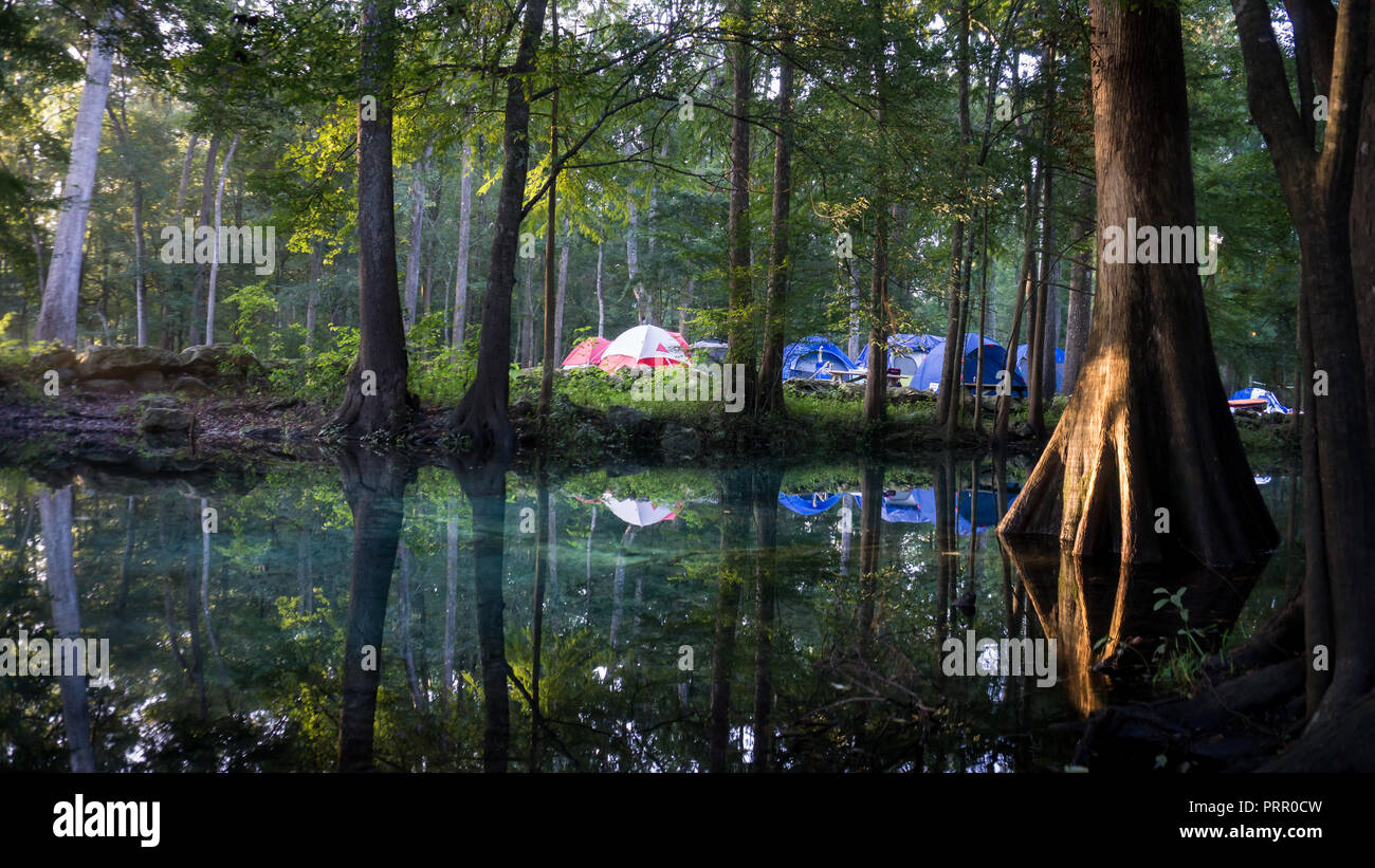 Sunrise sunlight reaching the trunk of a cypress tree in the camping ground and lagoon of Ginnie