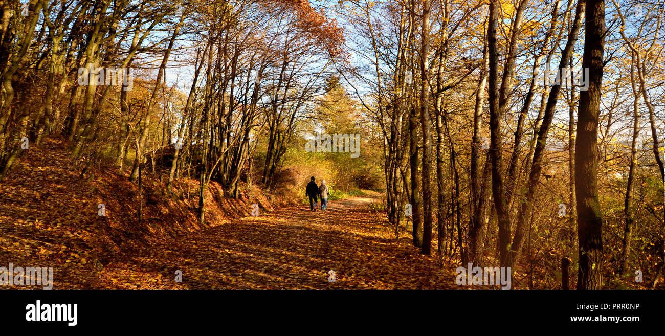Spaziergang wald hi-res stock photography and images - Alamy