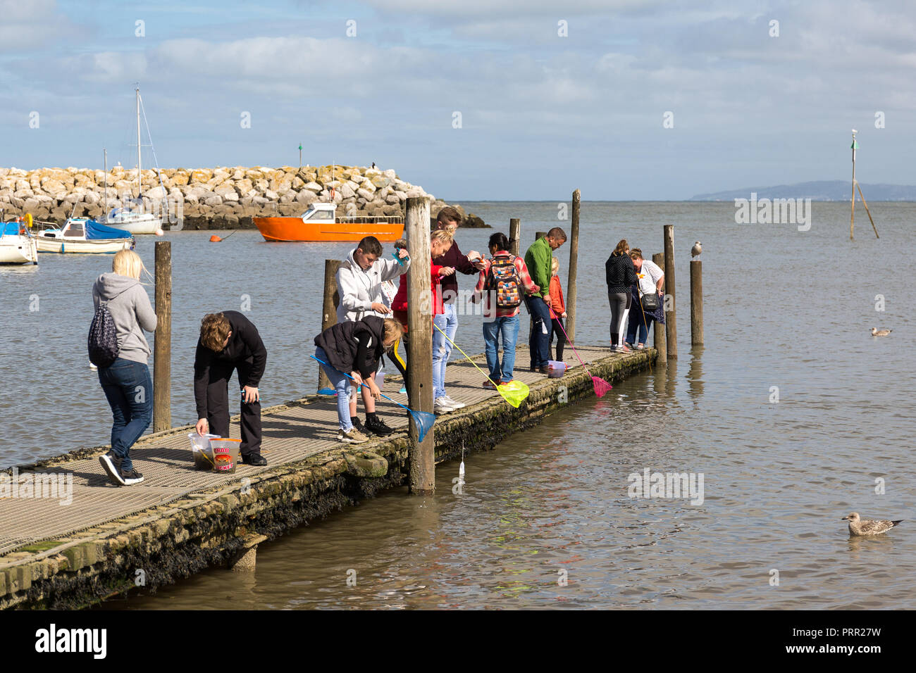 Crab fishing at harbour RhosonSea, Llandudno North Wales UK Stock