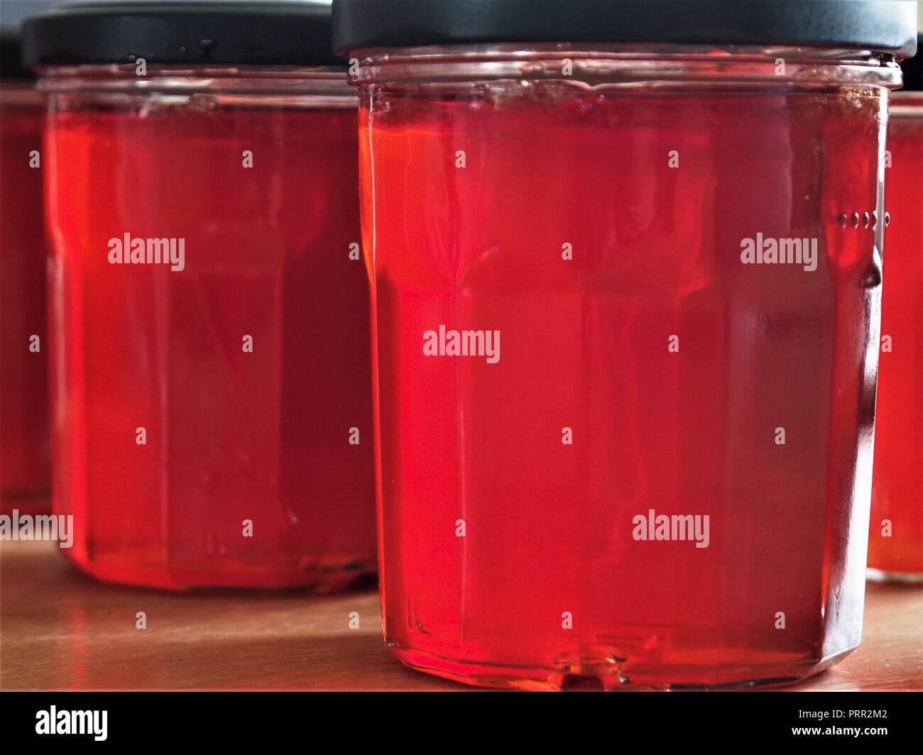 Side lit close up of Homemade Apple Jelly (Jam) cooling in Jars before putting away for storage Stock Photo