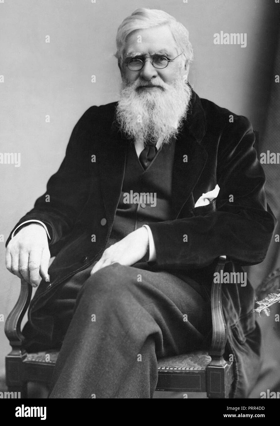 Alfred Russel Wallace, (8 January 1823 – 7 November 1913) was an English naturalist, explorer, geographer, anthropologist, and biologist. Stock Photo