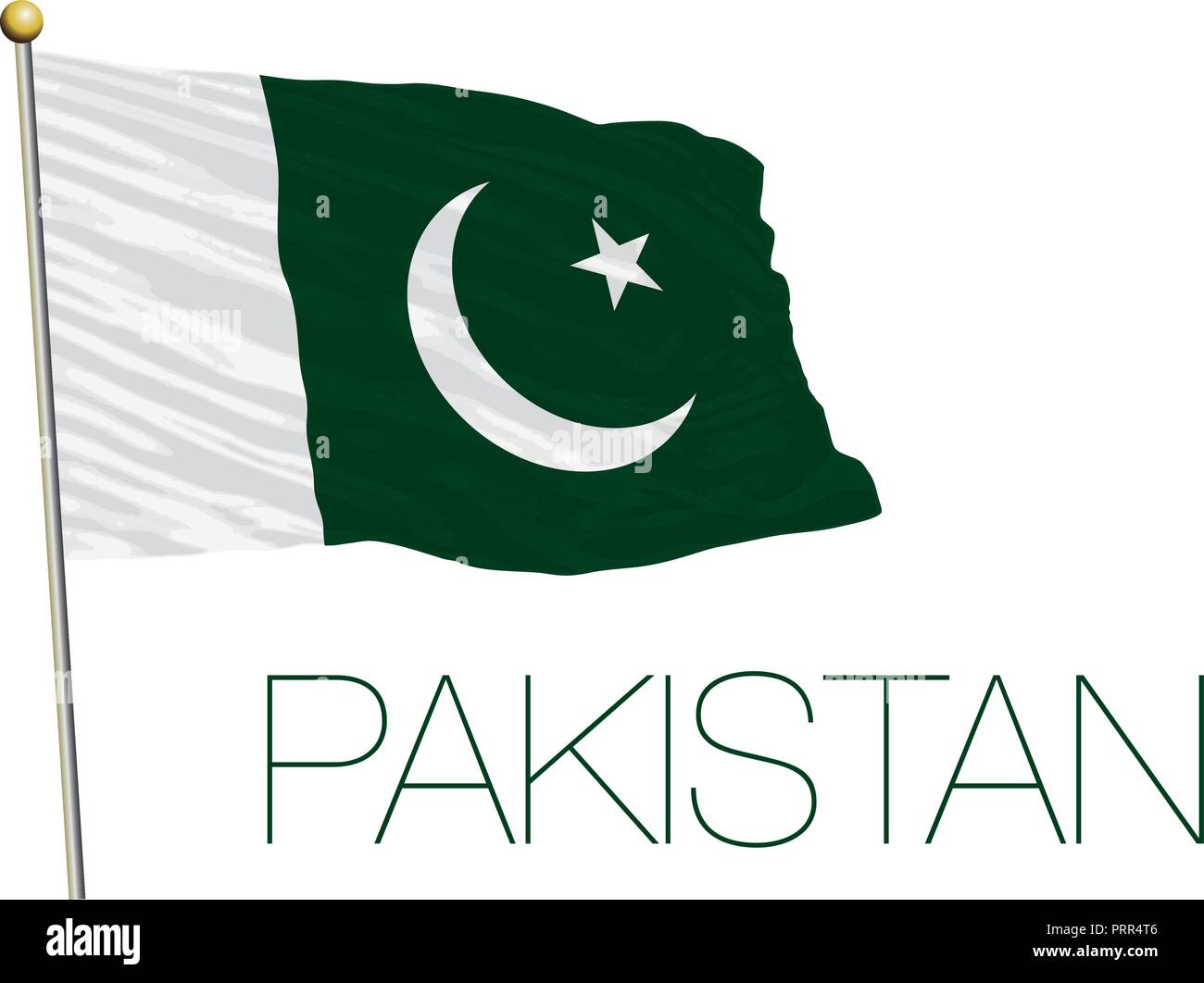 Pakistan official flag, vector illustration Stock Vector