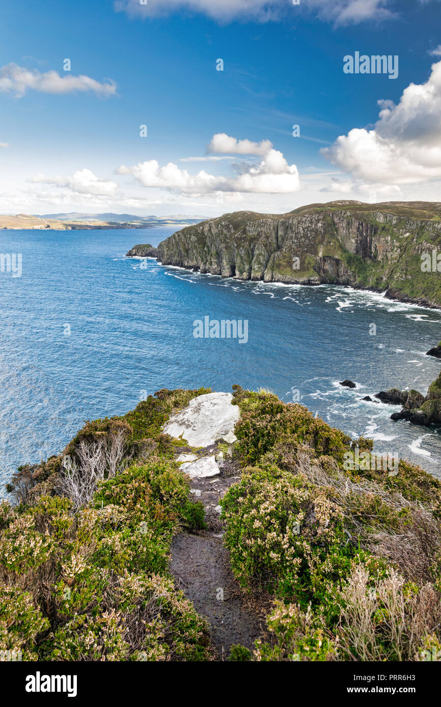 This is a picture of the sea cliffs at Horn Head in Donegal Ireland