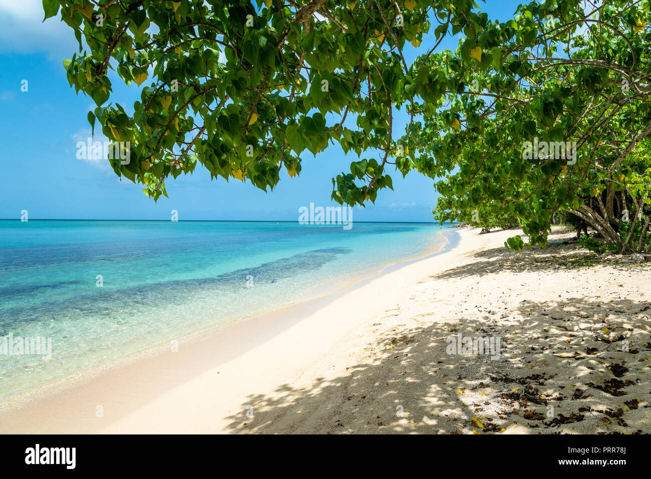 Beach 'La Plage du Souffleur' in Port Louis, Guadeloupe Stock Photo