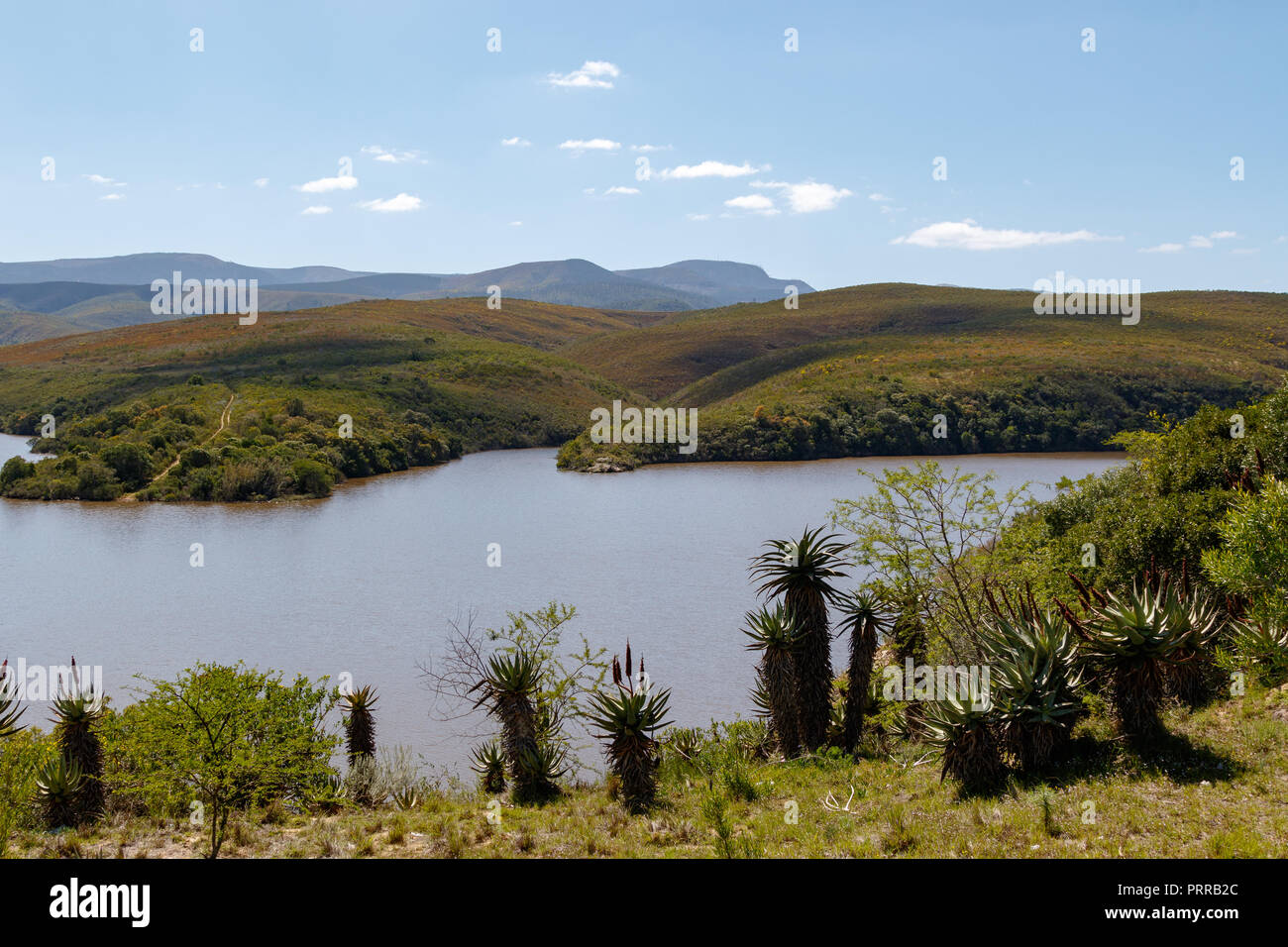The dam with bushes in the foreground and mountains in the background Stock Photo