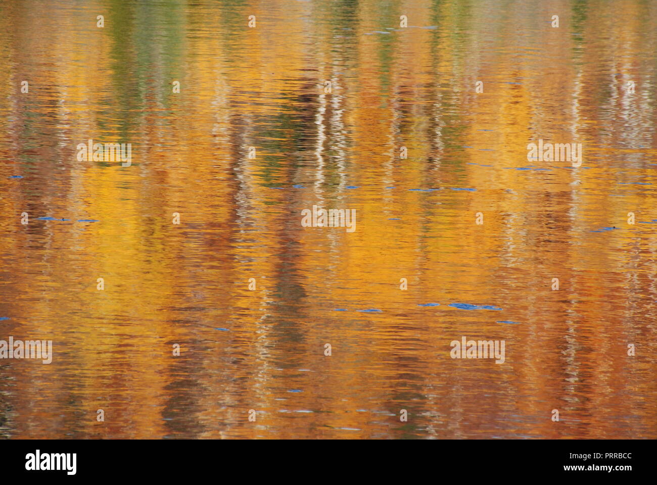 The reflection of autumn trees in moving water, creating an abstract and blurry background in the tones of golden, yellow, red, brown, green  and whit Stock Photo