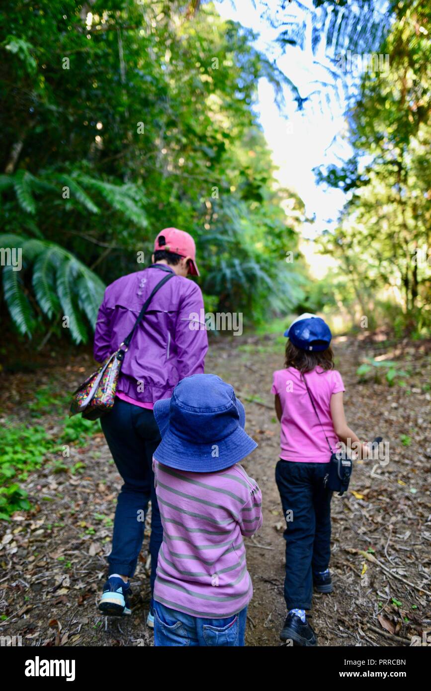 A mother walks her school aged children hiking through a forest ...