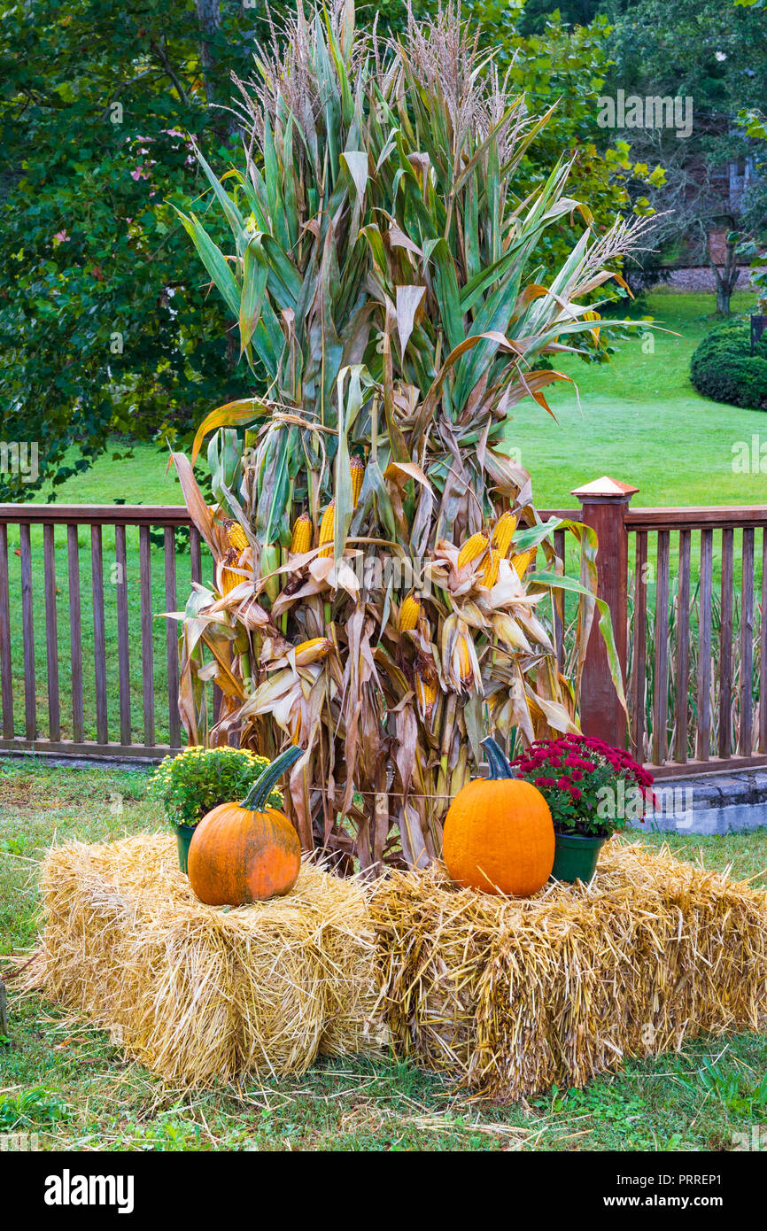 Harvest Hay Bale, Mini Thanksgiving Haybale With Pumpkin and Corn, Fall  Tiered Tray Decor, Harvest Straw Bale, Fall Farmhouse Decor 