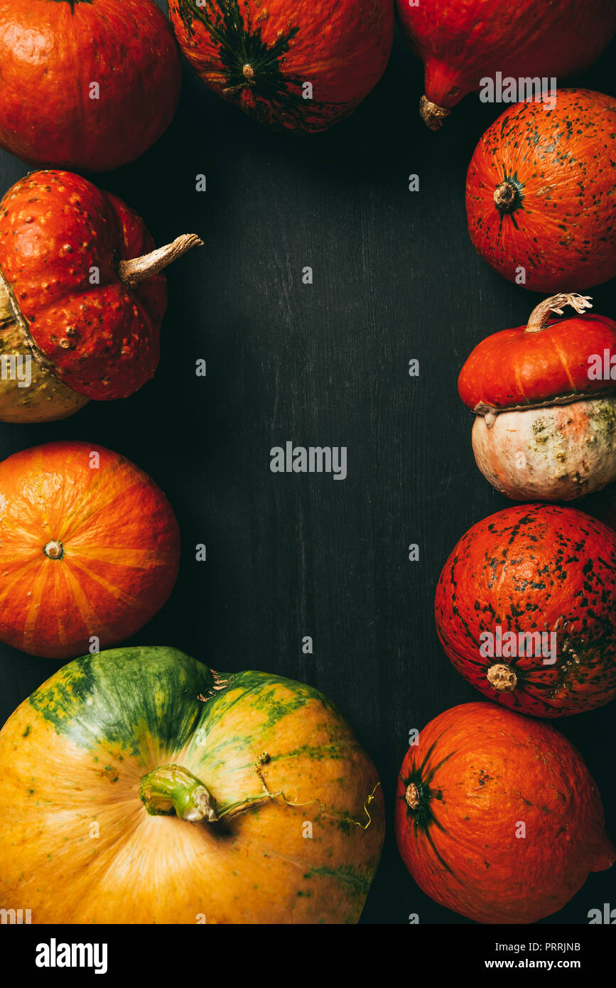 top view of autumn frame made of orange pumpkins on dark background ...