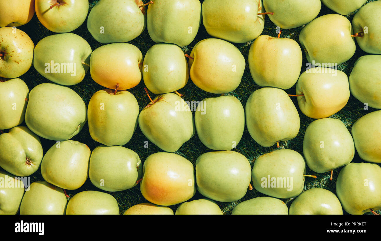 background with green fresh picked apples Stock Photo