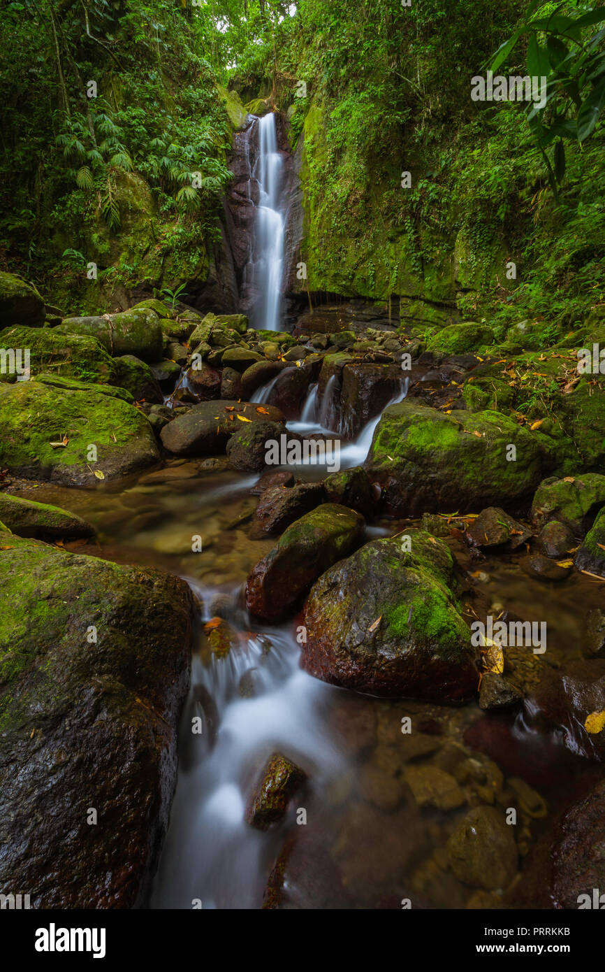 Waterfall in a Tropical Rain-forest Stock Photo