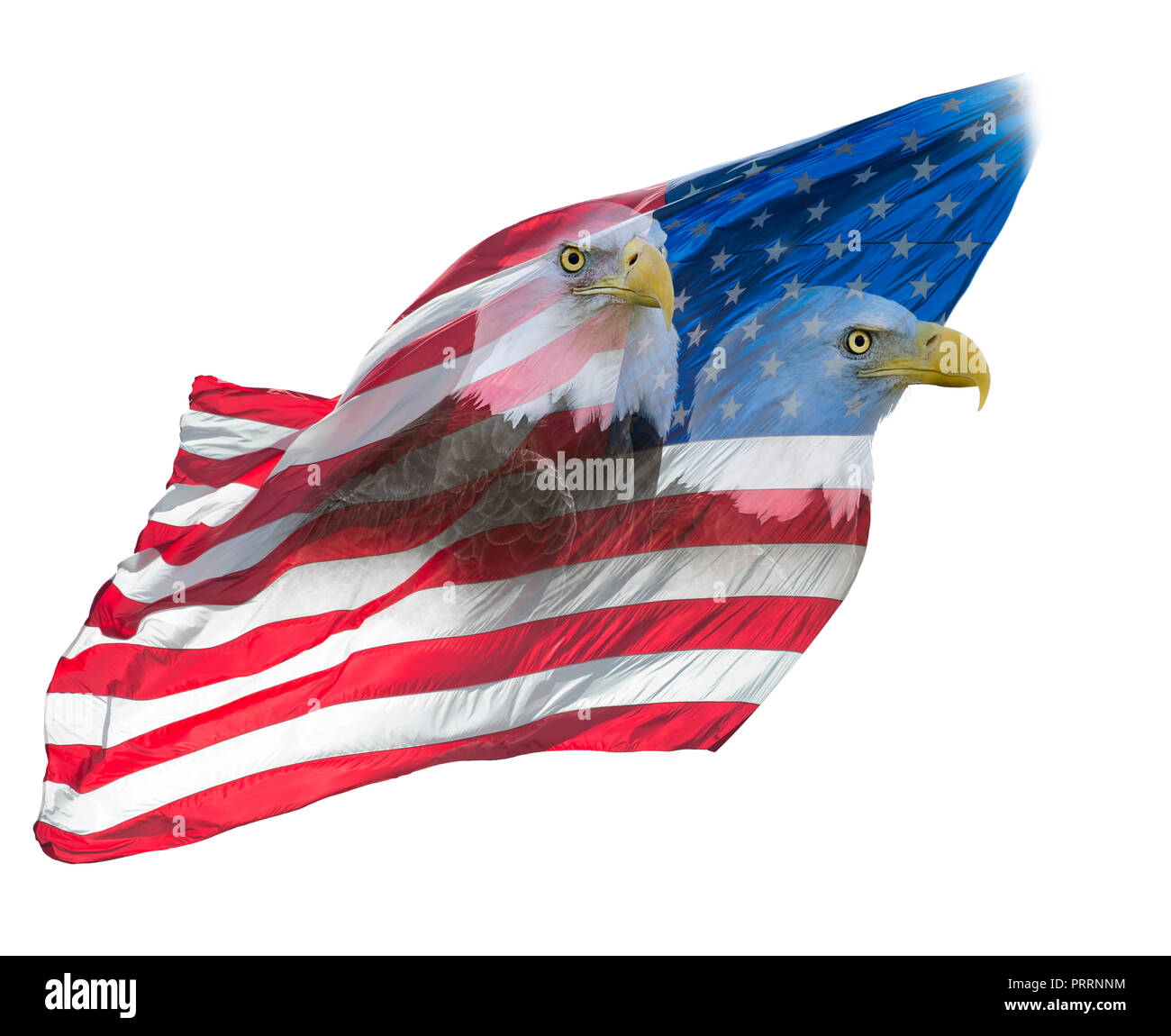 Double exposure effect of north american bald eagles on american flag. Stock Photo