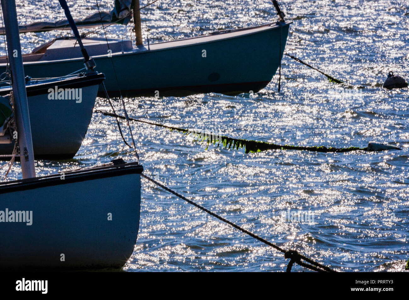 Wellfleet boats hires stock photography and images Alamy