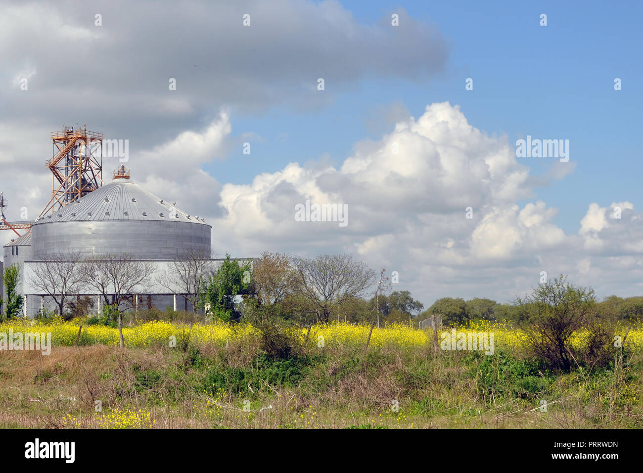 Agricultural Silos - Building Exterior, Storage and drying of grains ...