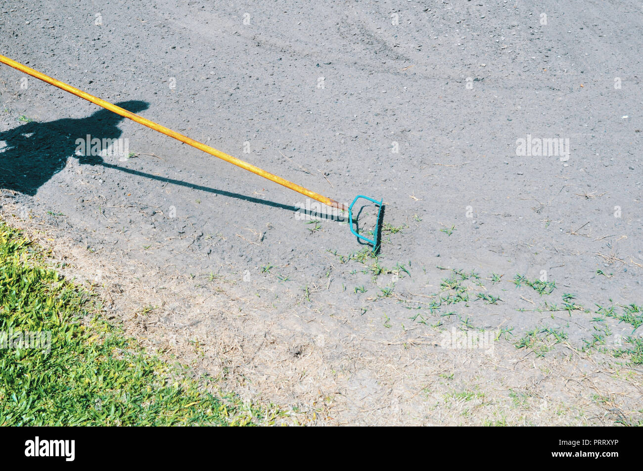 Woman raking grass using rake. Person taking care of garden house yard