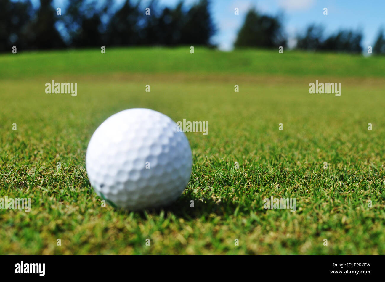 Female hand holding golf ball in a golf course Stock Photo - Alamy