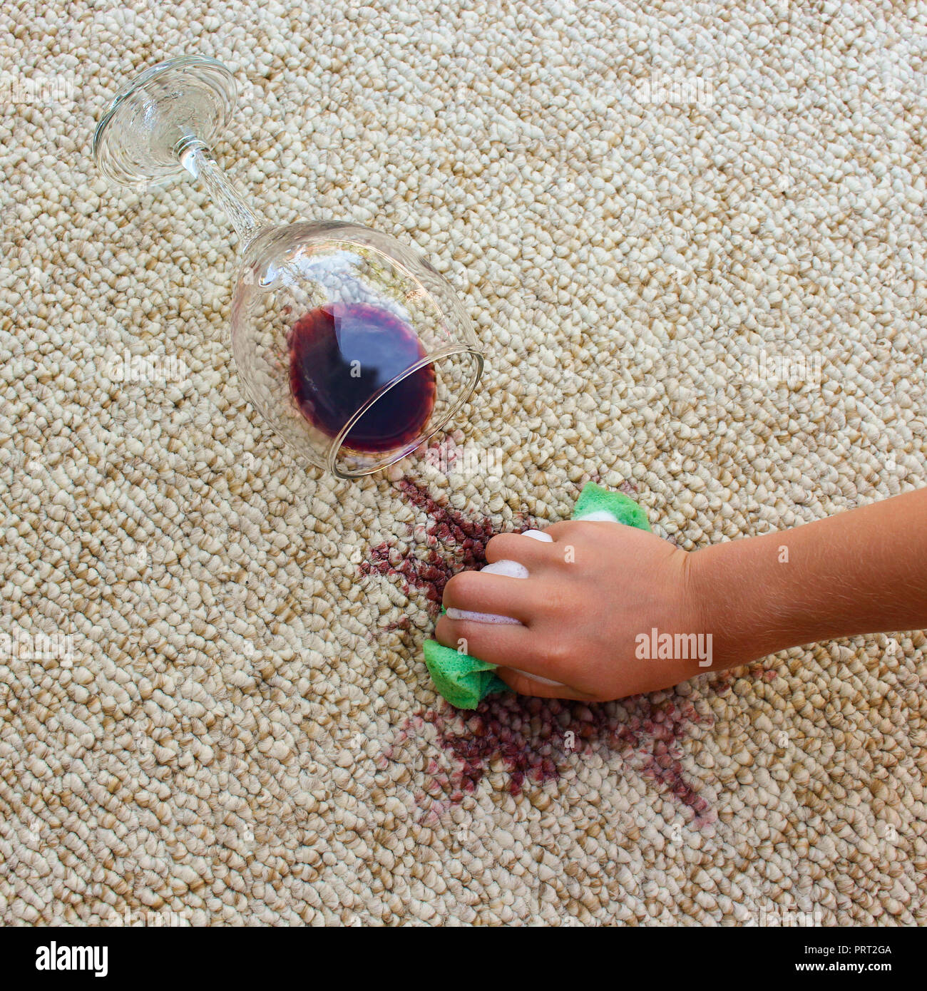 glass of red wine fell on carpet, wine spilled on carpet. Female hand