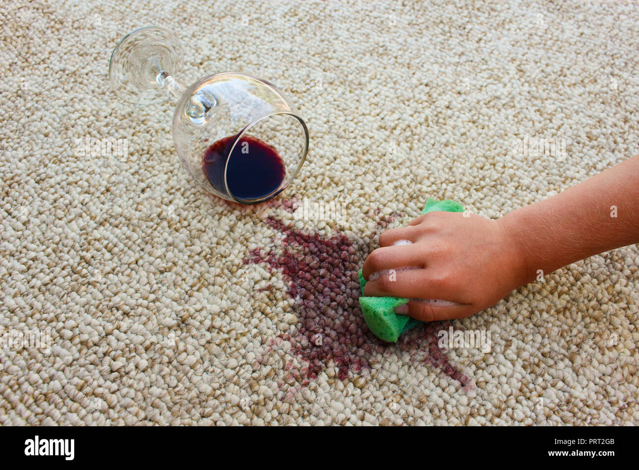 glass of red wine fell on carpet, wine spilled on carpet. Female hand