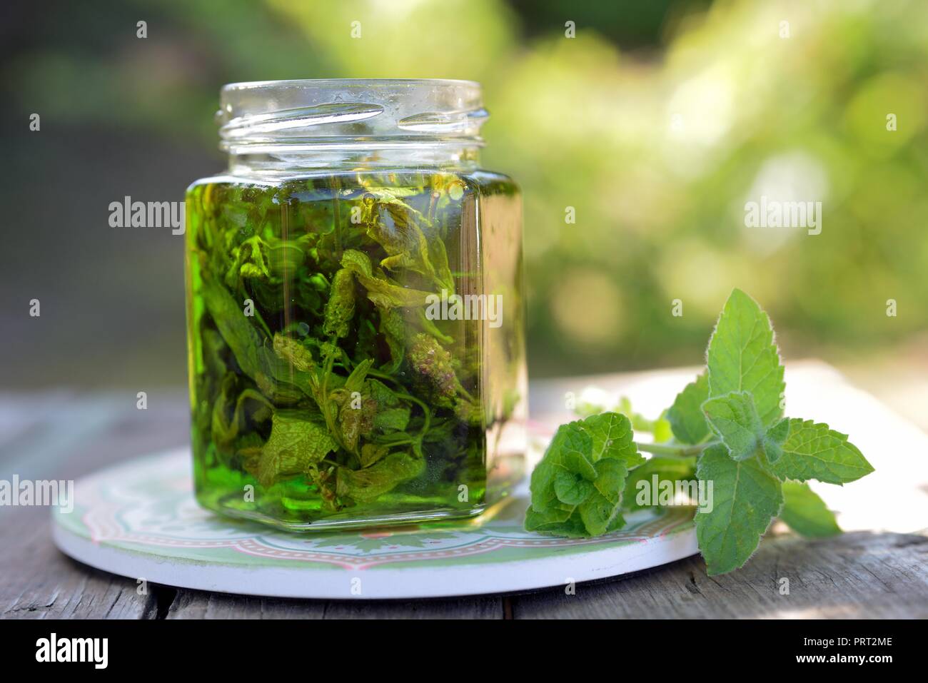 Homemade mint jam with mint sprig Stock Photo Alamy