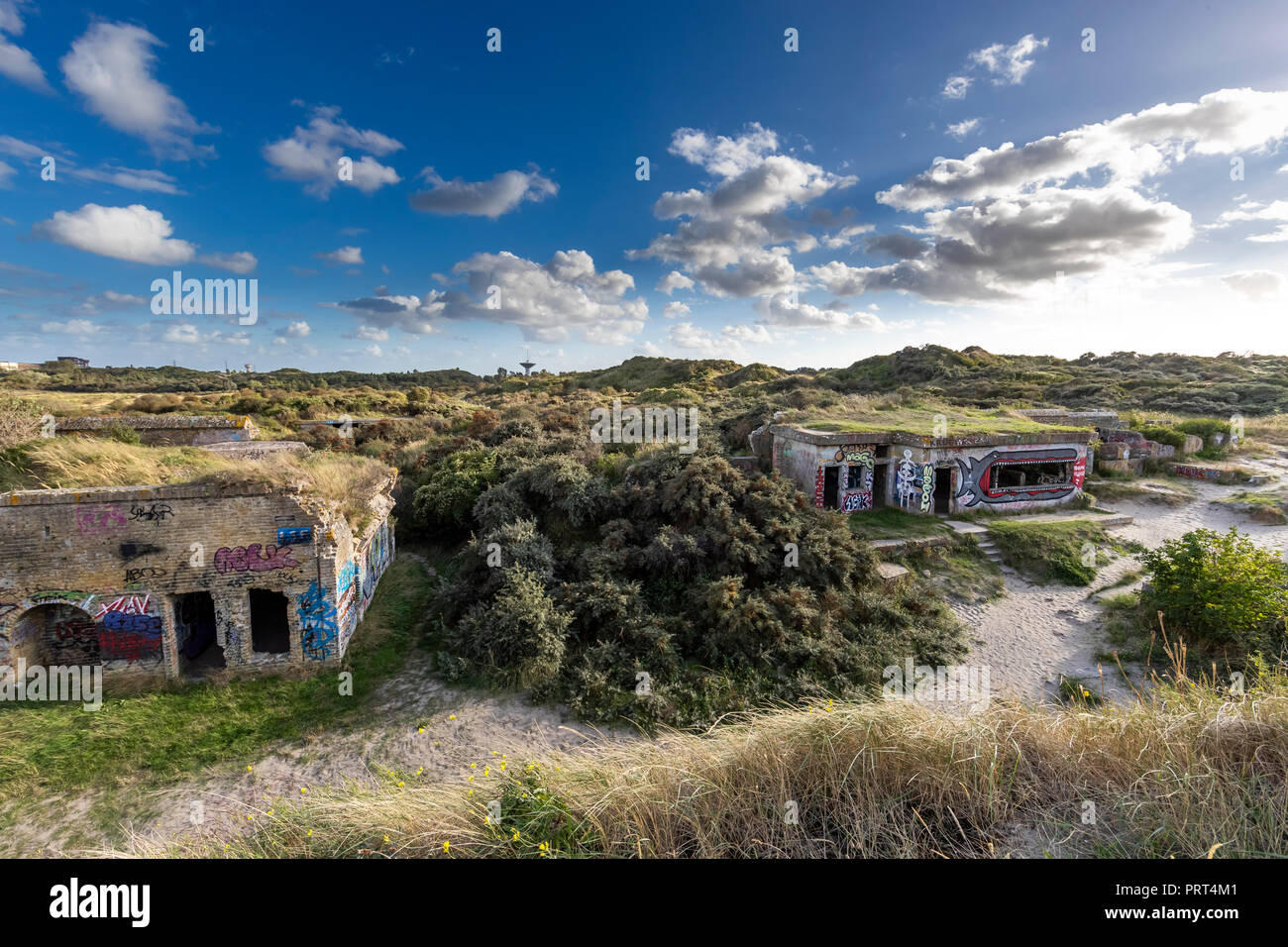 The WW11 German defences of the Batterie de Zuydcoote at Dunkirk, have been  taken over by nature and graffiti art. Dunkirk, France Stock Photo - Alamy
