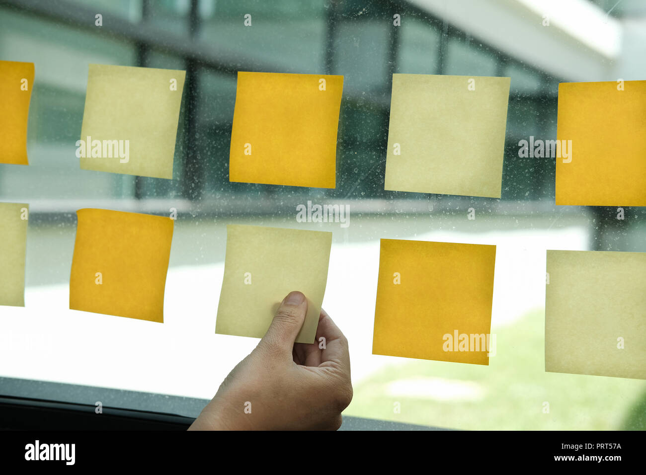 hand hold adhesive notes on glass wall at workplace. Sticky note paper ...