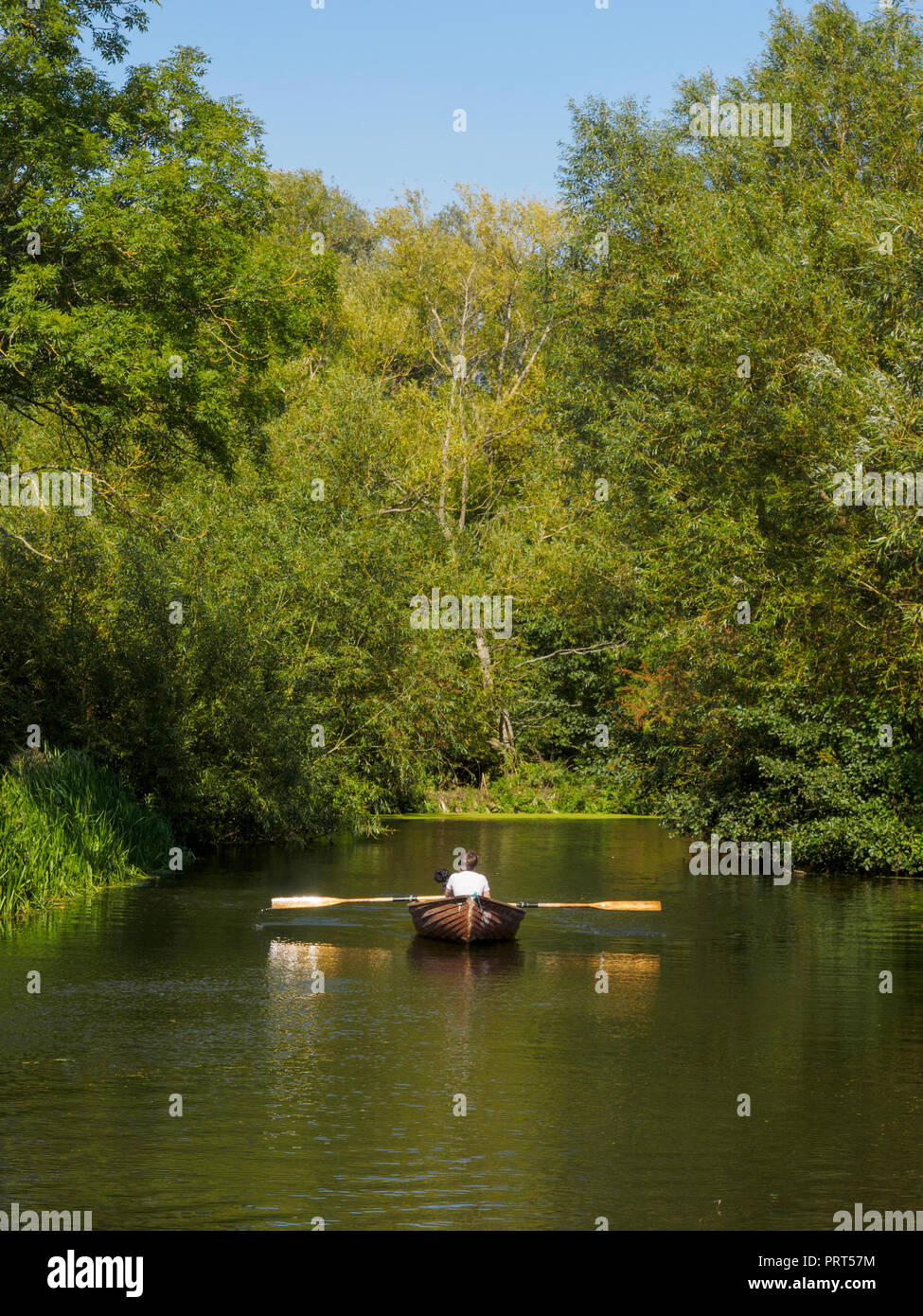 Rowing on the River Stour at Dedham Stock Photo Alamy