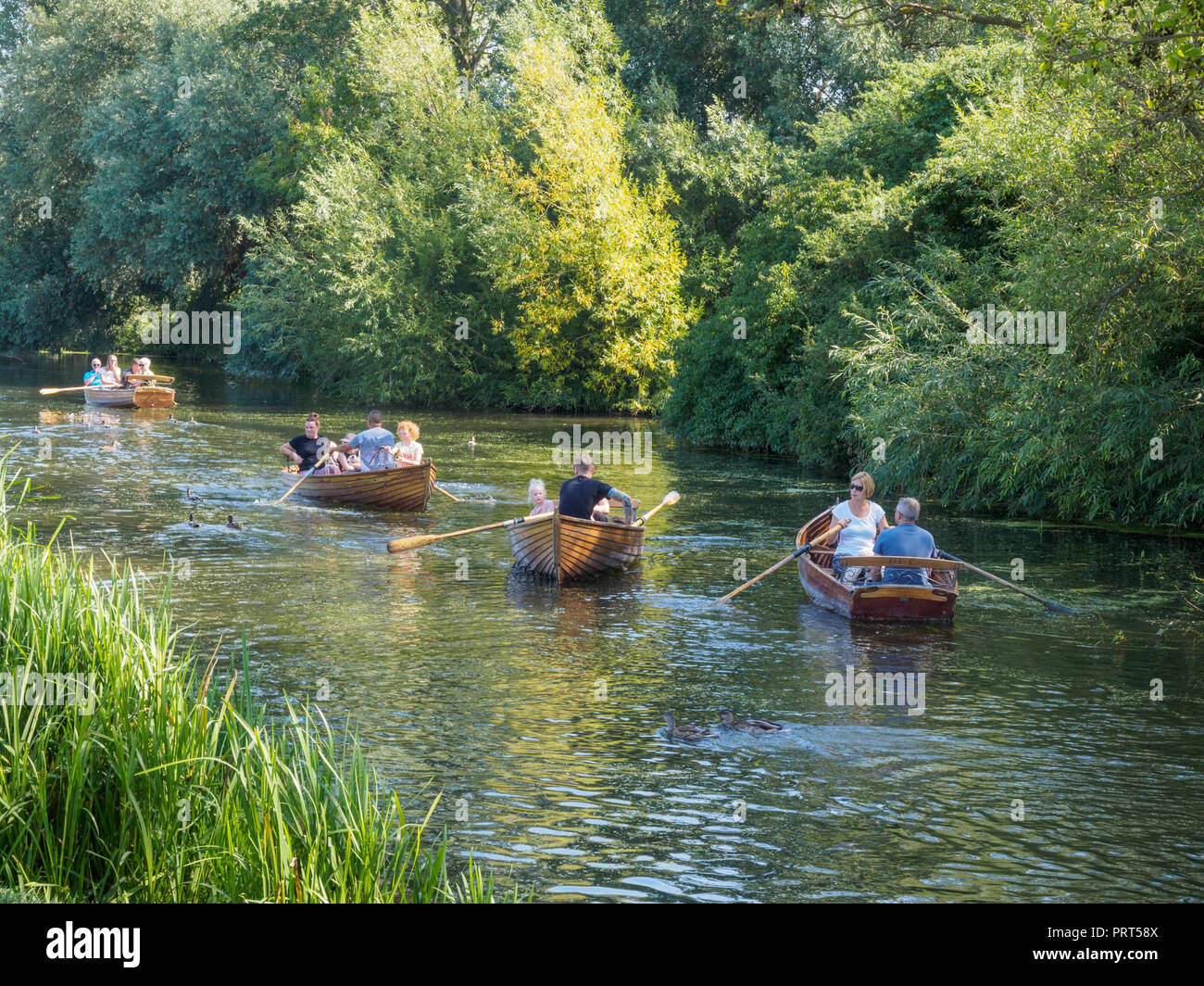 Rowing on the River Stour at Dedham Stock Photo
