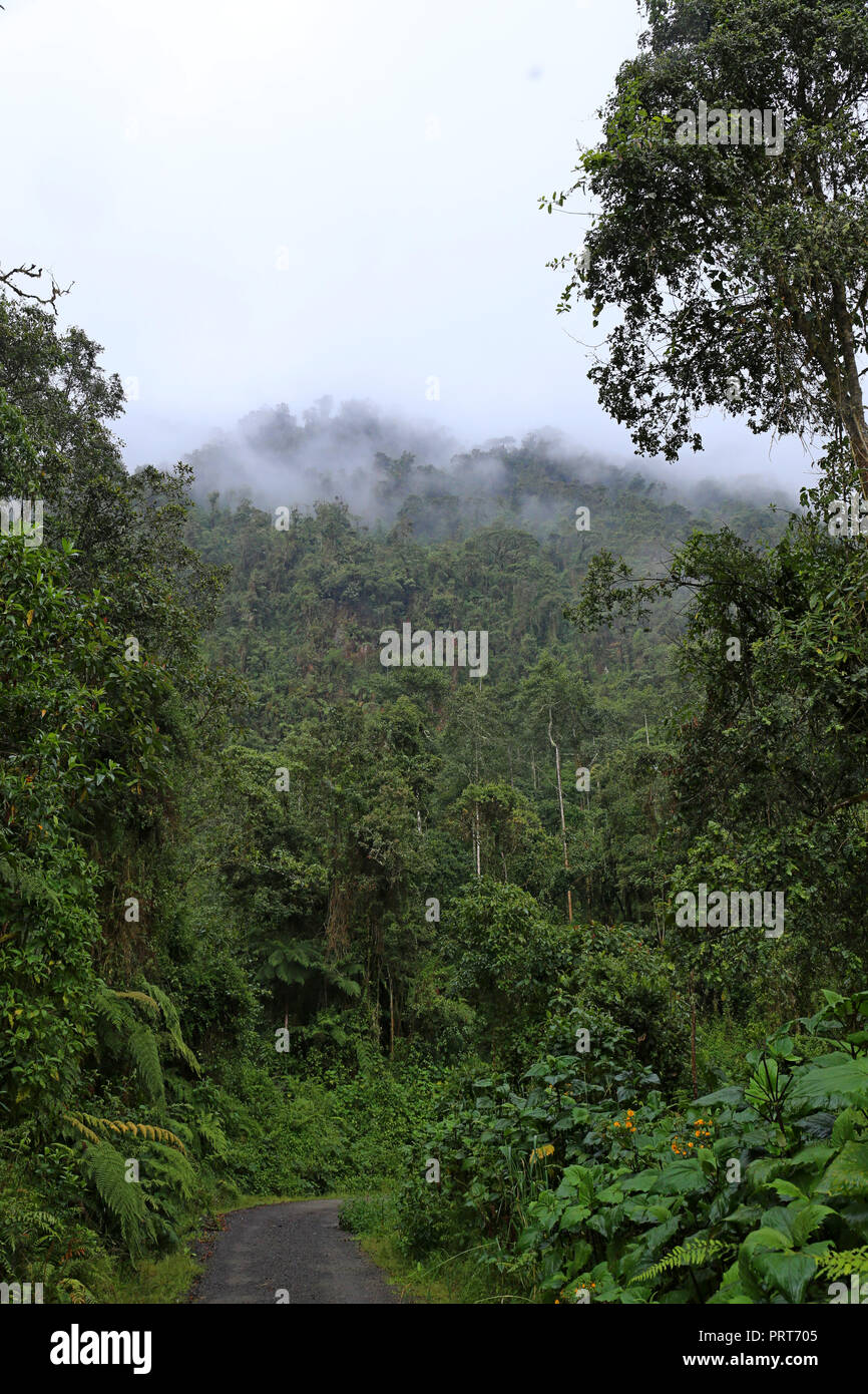 One Lane Bridge Sign High Resolution Stock Photography and Images Alamy