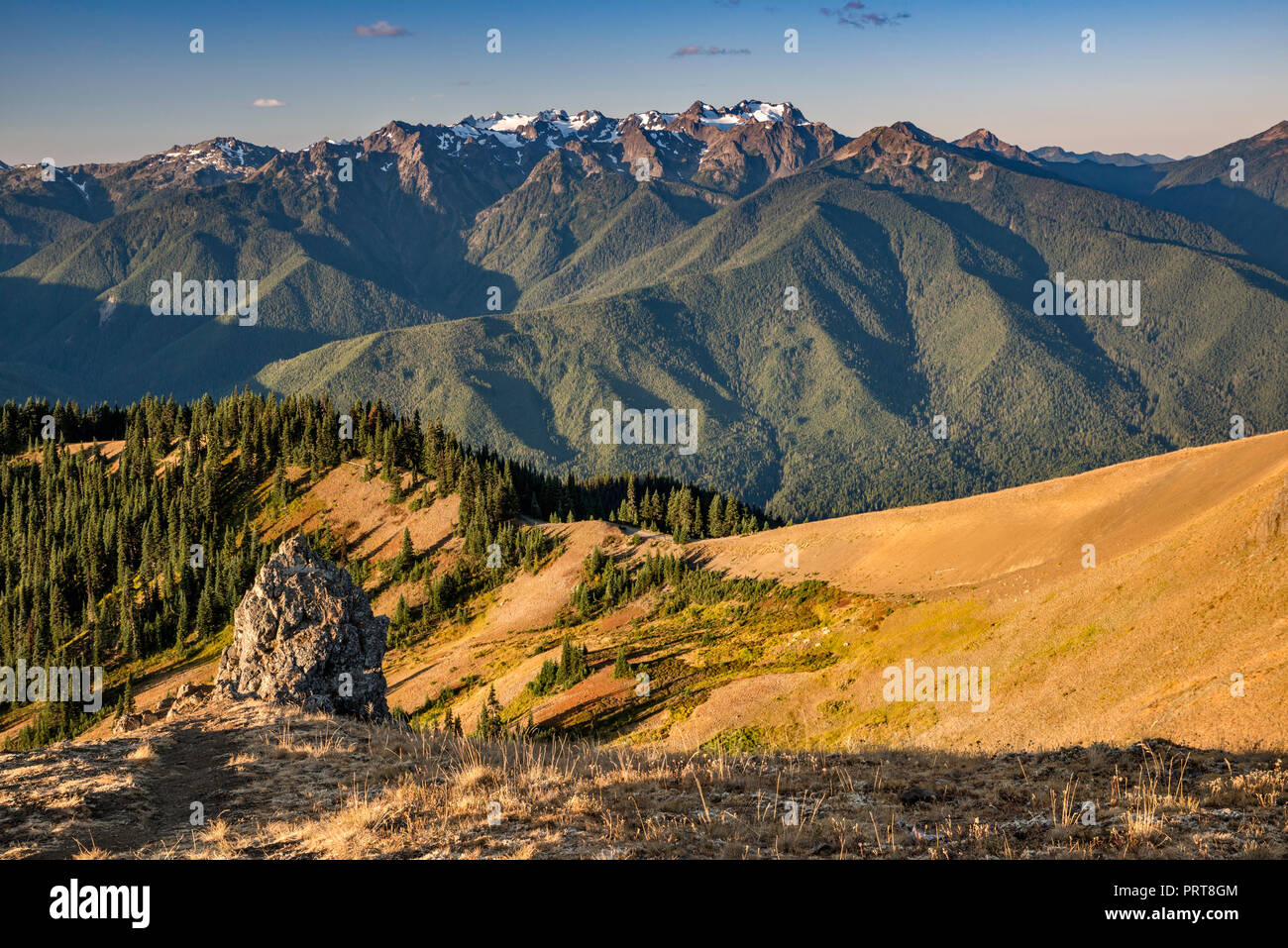 Mount Carrie (center), Mount Olympus (left), view in mid-September from Hurricane Ridge, Olympic National Park, Washington state, USA Stock Photo