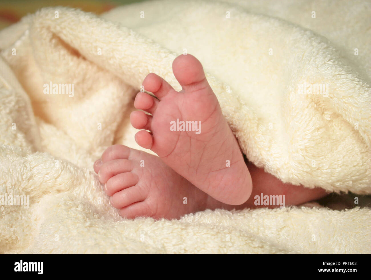 Feet newborn baby Stock Photo - Alamy
