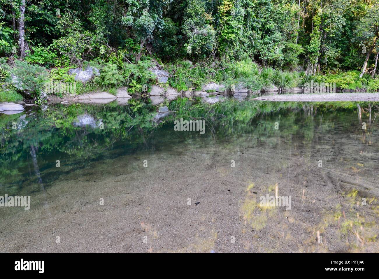 The upper reaches of South Johnstone river, South Johnstone camping