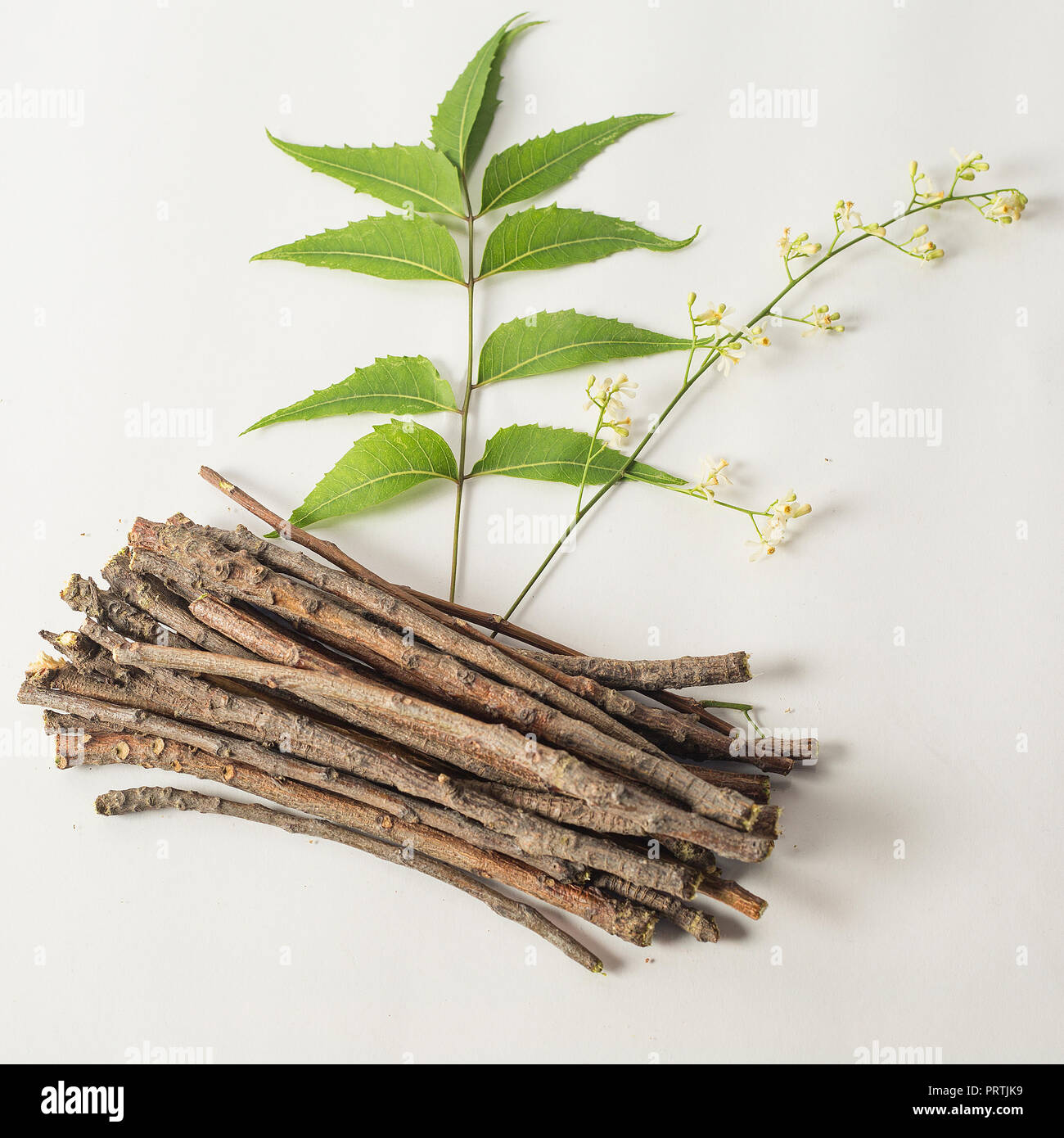 Neem wooden sticks with neem flowers and neem leaves. White isolated background Stock Photo Alamy