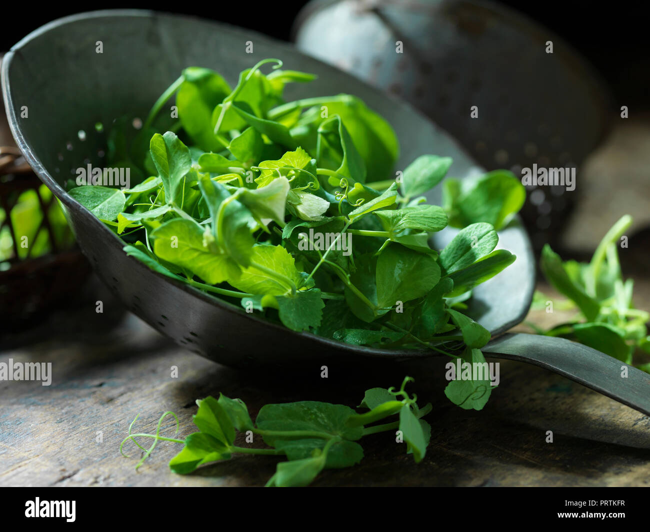 Fresh pea shoots Stock Photo