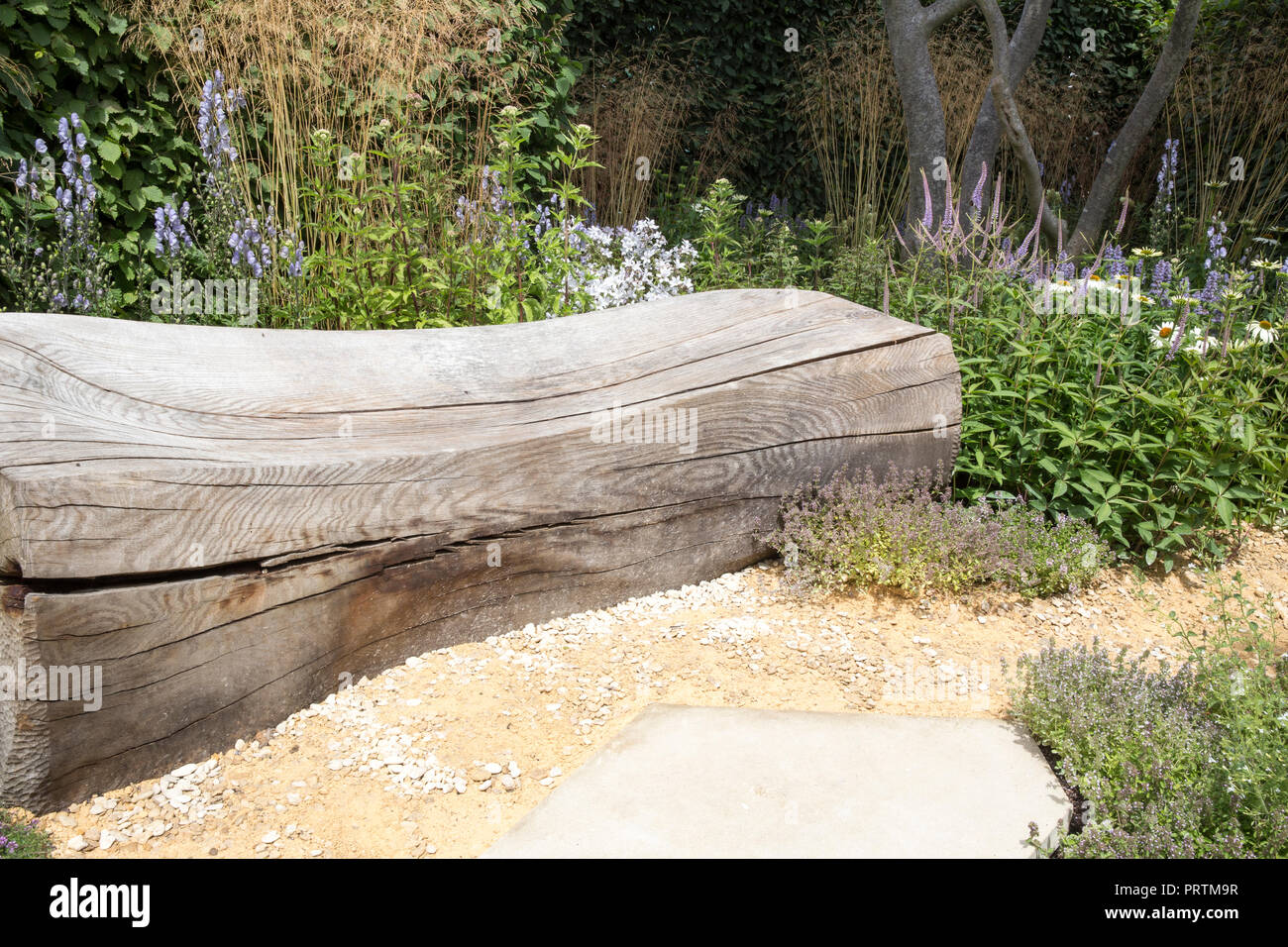 fallen oak wooden bench seating area, gravel path, planting of grasses, flowers, Designer: Andy Sturgeon, RHS Watch This Space Garden, Hampton Court F Stock Photo