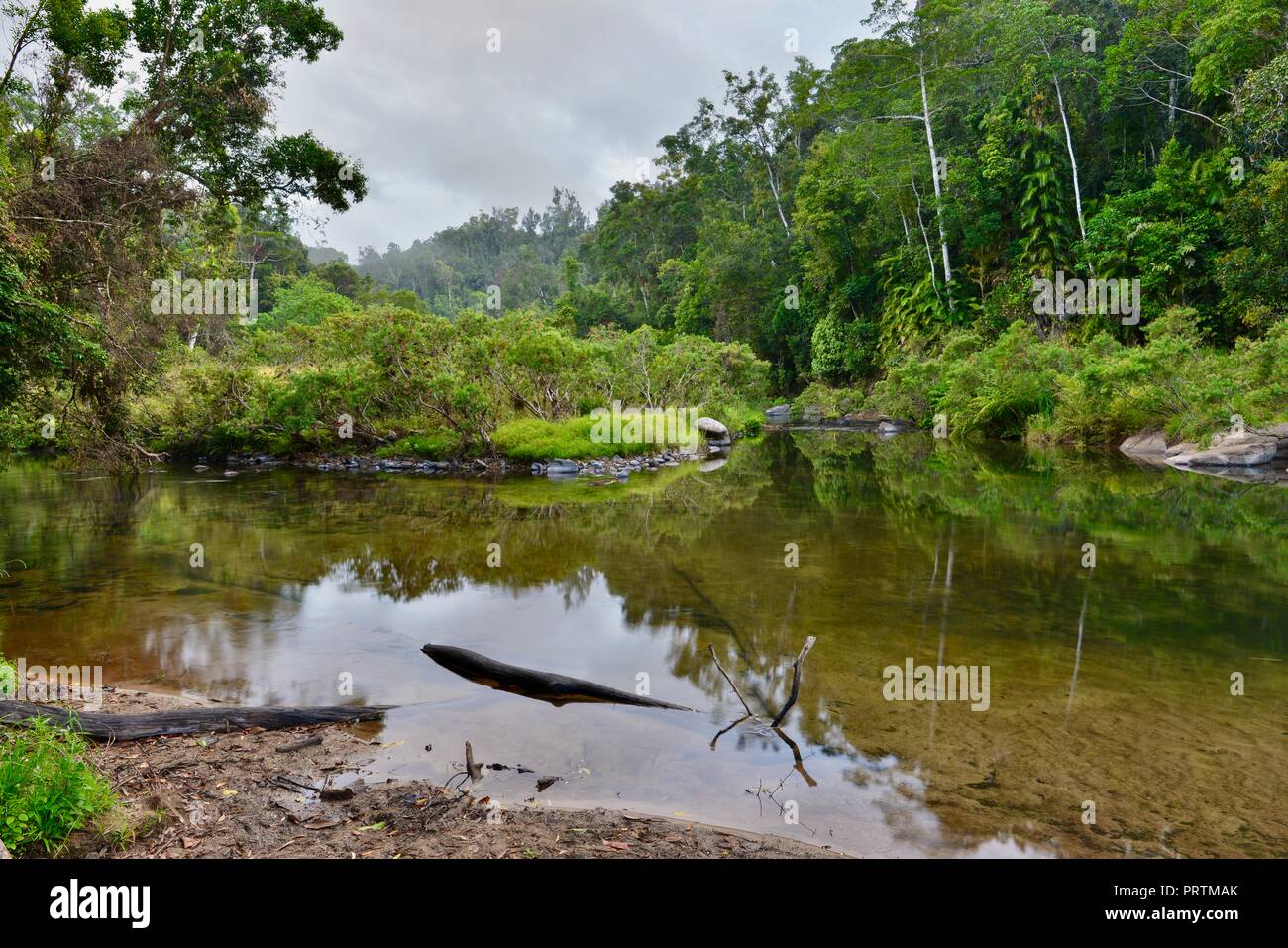 The upper reaches of South Johnstone river, South Johnstone camping area, Wooroonooran National