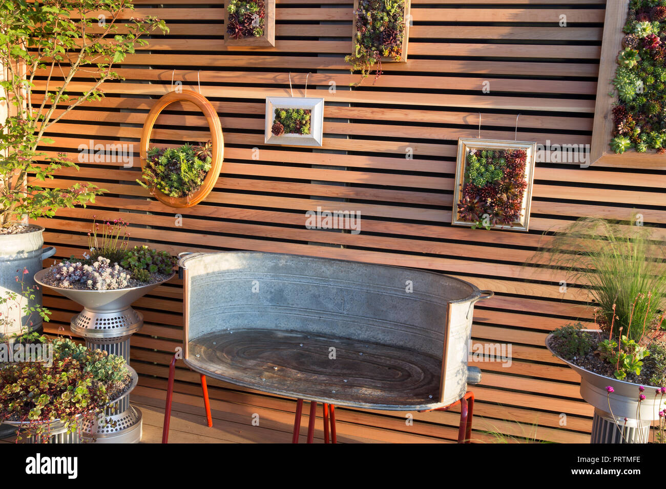 Balcony garden, repurposed recycled furniture and containers filled with succulents and herbs. Sempervivum and mixed succulent plants grown in wooden  Stock Photo