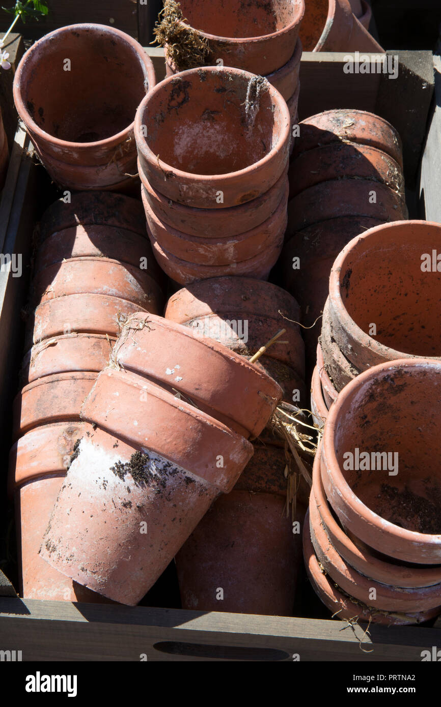 collection of old vintage terracotta plant pots Stock Photo