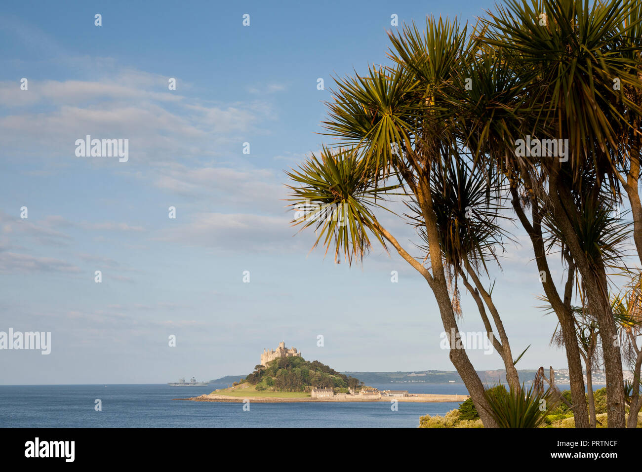 Palm trees and St. Michaels Mount, Marazion,Cornwall, UK Stock Photo