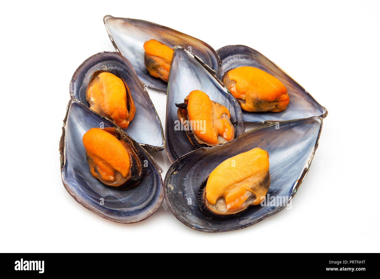 mussels cooked ready to eat Stock Photo Alamy