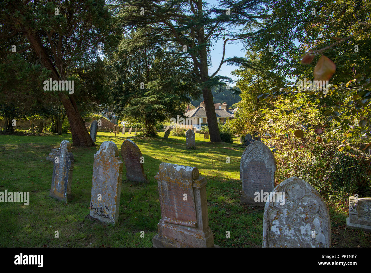 Church of St Martin of Tours, Church St, West Coker UK Stock Photo Alamy