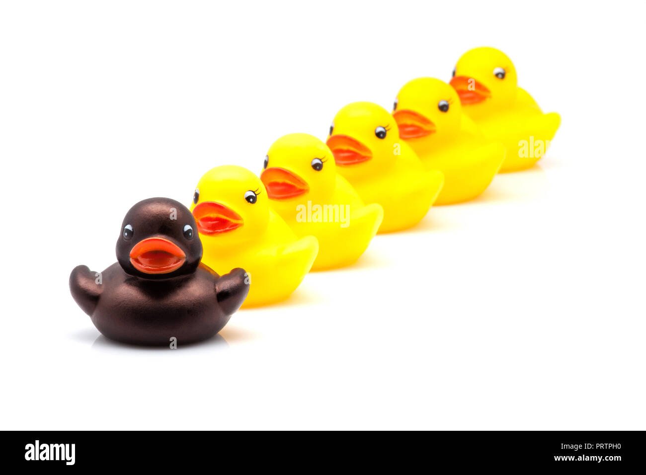 line of yellow ducks of gum Stock Photo - Alamy