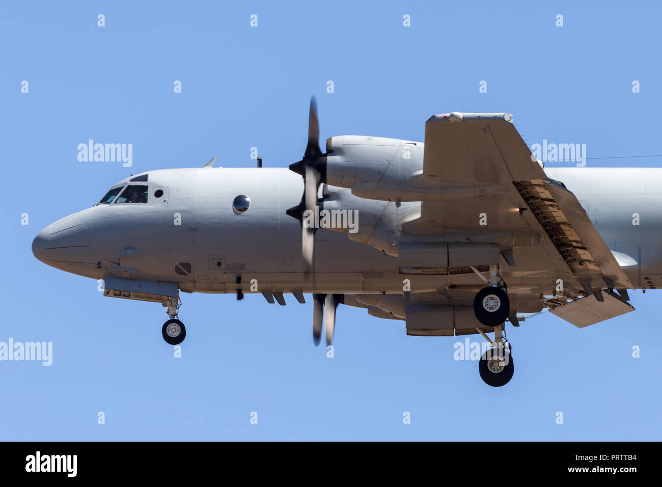 Royal Australian Air Force (RAAF) Lockheed AP-3C Orion Maritime Patrol and Anti Submarine Warfare Aircraft. Stock Photo