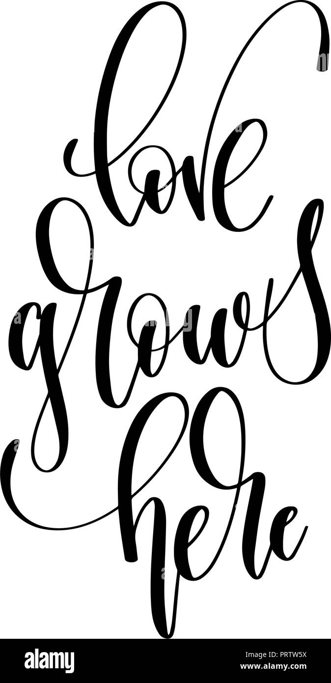 love grows here hand lettering overlay typography element Stock