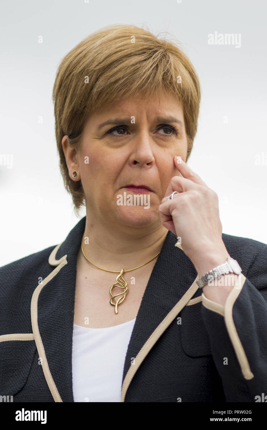 Scottish First Minister views a selection of electric vehicles from the