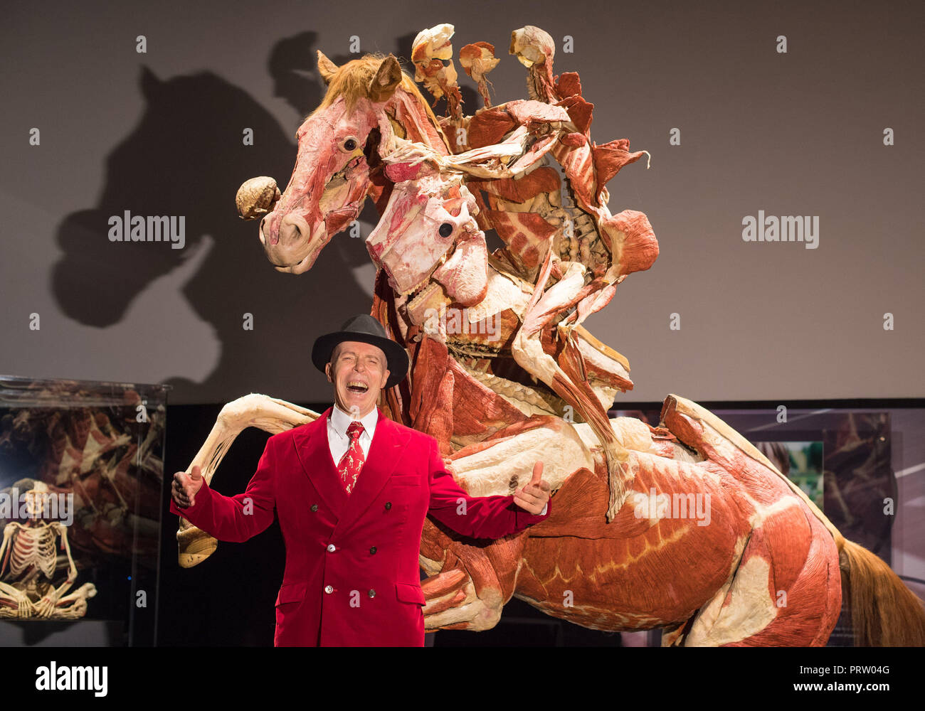 Dr Gunther von Hagens with 'Rearing Horse and Rider' at the launch of the Body Worlds museum, in Piccadilly, London. Stock Photo