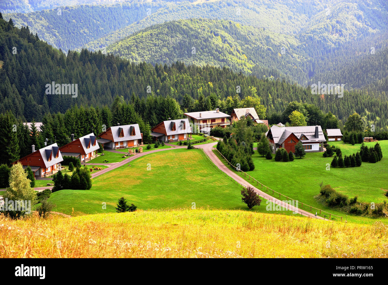 Small village in Low Tatras national park, Slovakia. Rural Summer landscape with houses in green valley under mountains Stock Photo