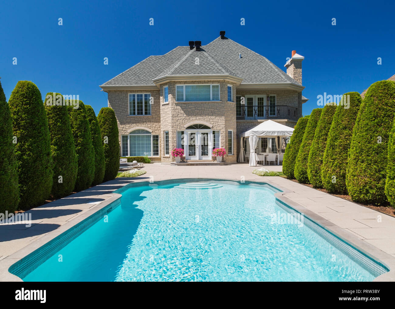 Outdoor swimming pool bordered by rows of cedar trees (Thuja occidentallis) at rear of luxurious house with beige stone Stock Photo