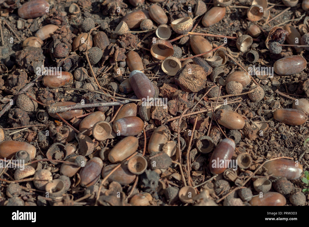 Ground texture composition hi-res stock photography and images - Alamy