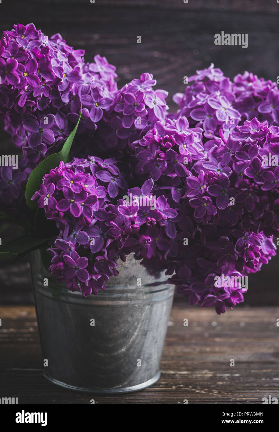 Bouquet of purple lilac flowers in small decorative tin bucket. Dark brown wooden background. Spring romantic flowers decoration. Close up. Vintage fi Stock Photo